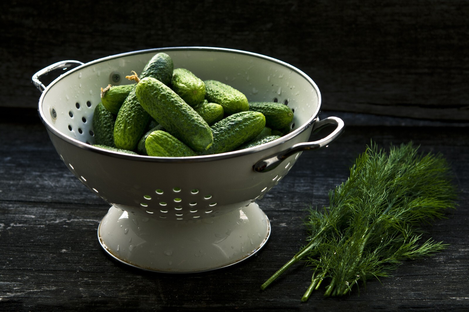 20 Seeds = = Homemade Pickles Cucumber – Seed Pack -All Natural Seed