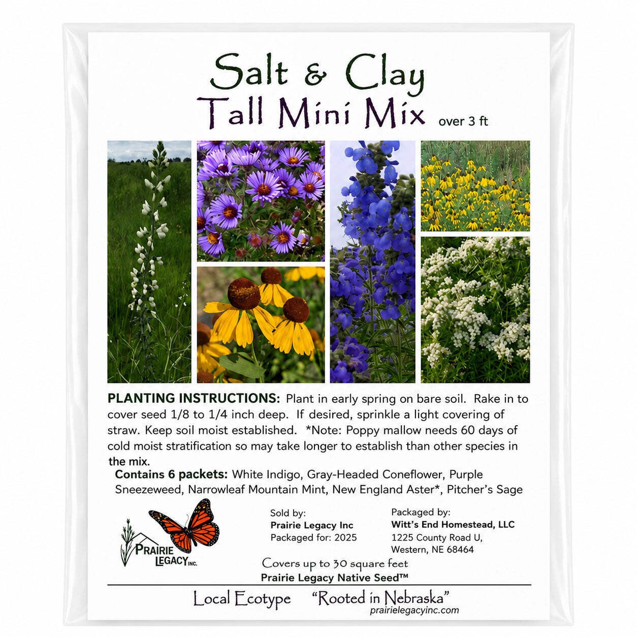 Backyard Salt & Clay Wildflower XL Bundle | Tall & Short Mini Mixes and Petite C