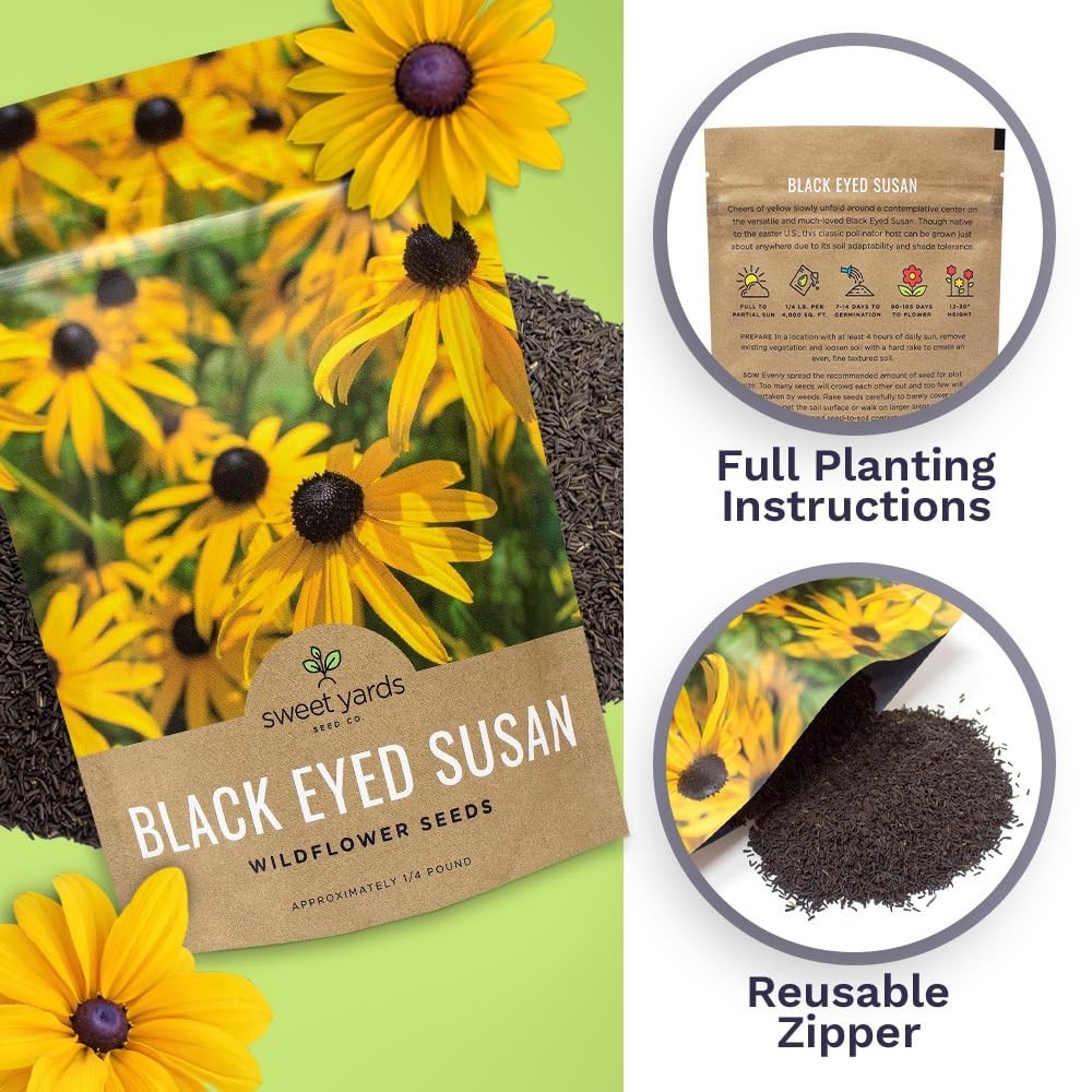 Bulk Black Eyed Susan Seeds – 1/4 lb Non-GMO Wildflower Seeds – 400,000+ Open Po