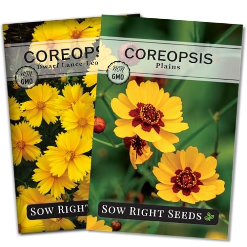 – Coreopsis Seed Collection for Planting – Dwarf Lance-Leaved & Plains