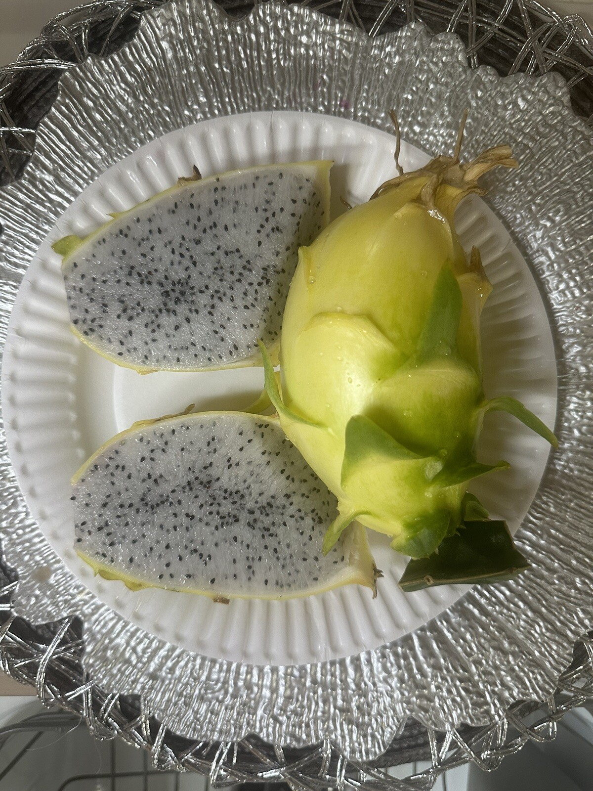 Dragon Fruit “Israel Yellow” CUTTINGS 8-12 Inches