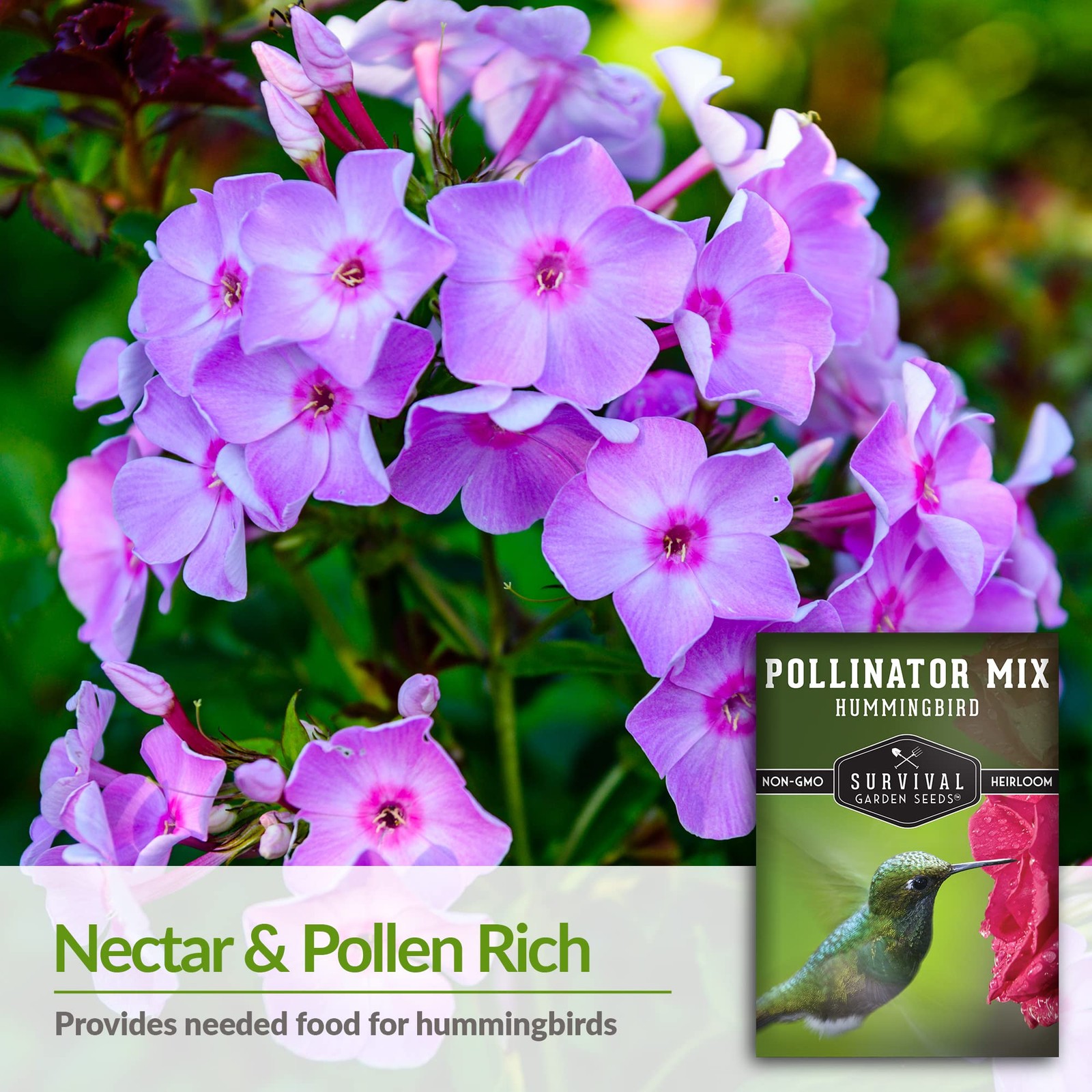 Hummingbird Flower Seeds for Planting – (1 Pack)