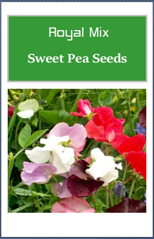 Royal Mix Sweet Pea Seeds | NON-GMO | Heirloom | Fresh Garden Seeds
