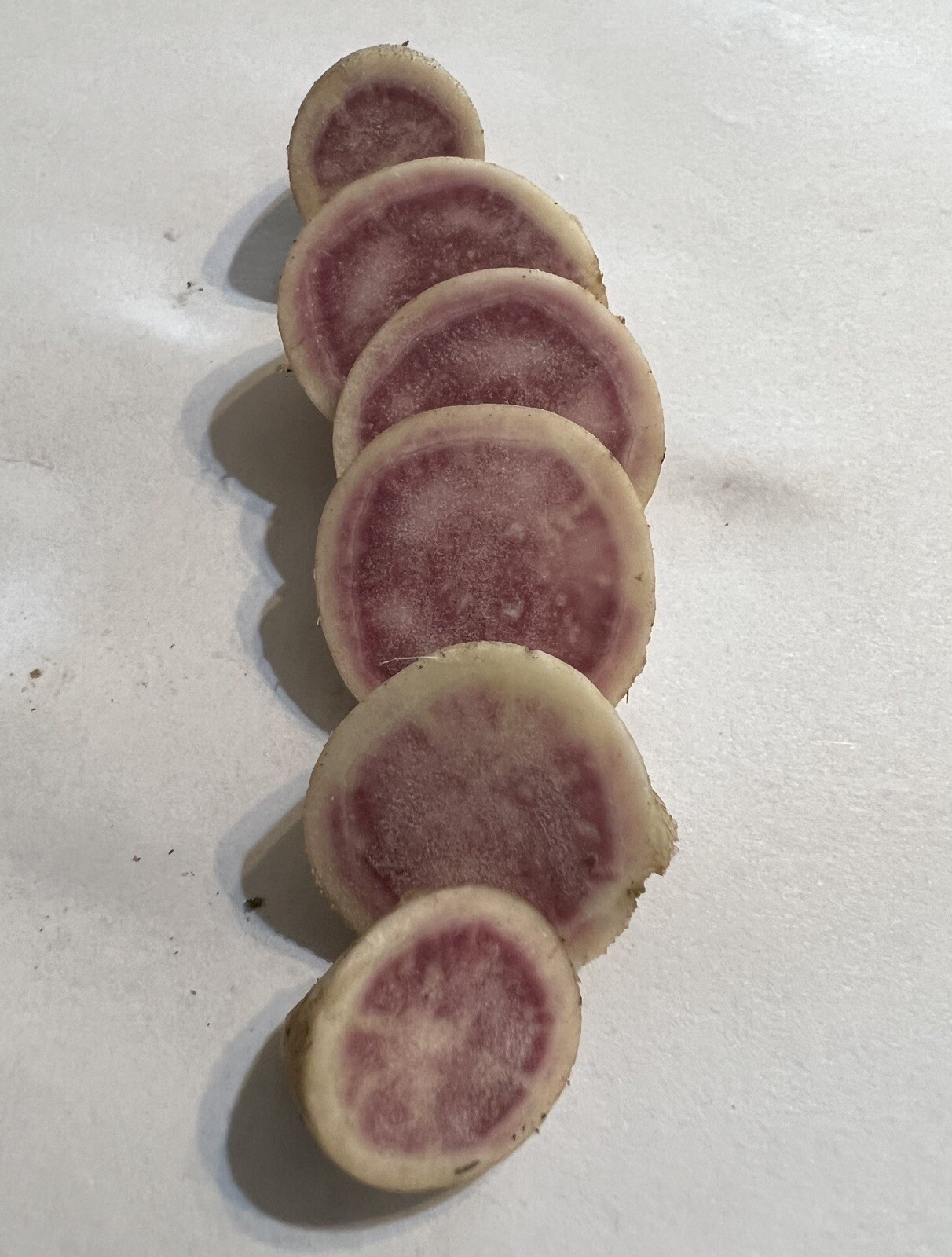 10 Okinawa -yam Sweet Potato Slips- White And Purple Sweet Potato Slips