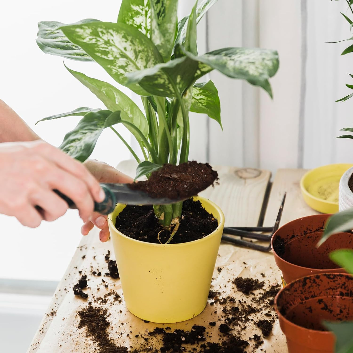 Organic Pothos Soil Mix 1Qt, Indoor Plants Potting Mix for All Potted Pothos, Gr