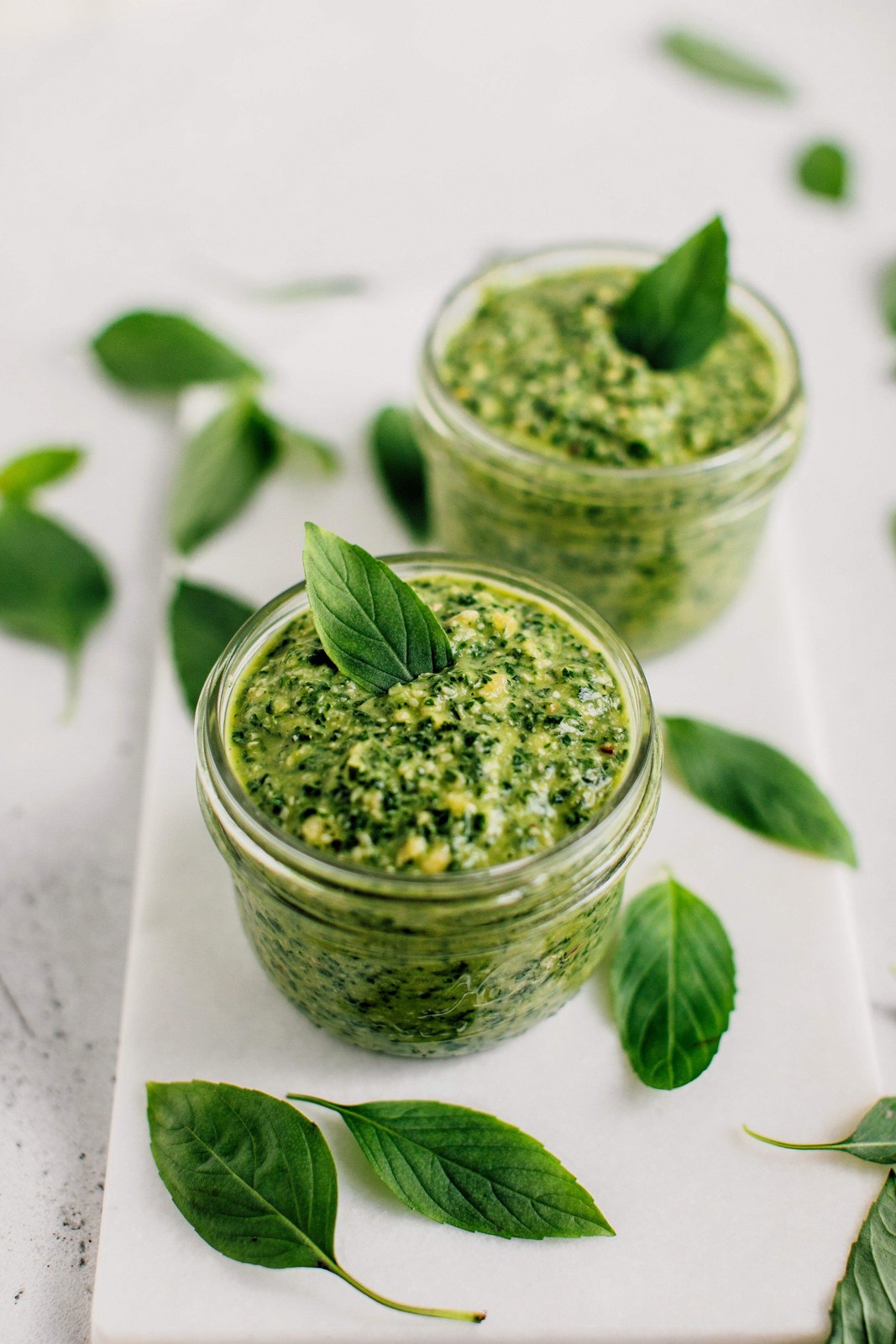 1000 LICORICE BASIL Ocimum Basilicum HERB Flower Seeds
