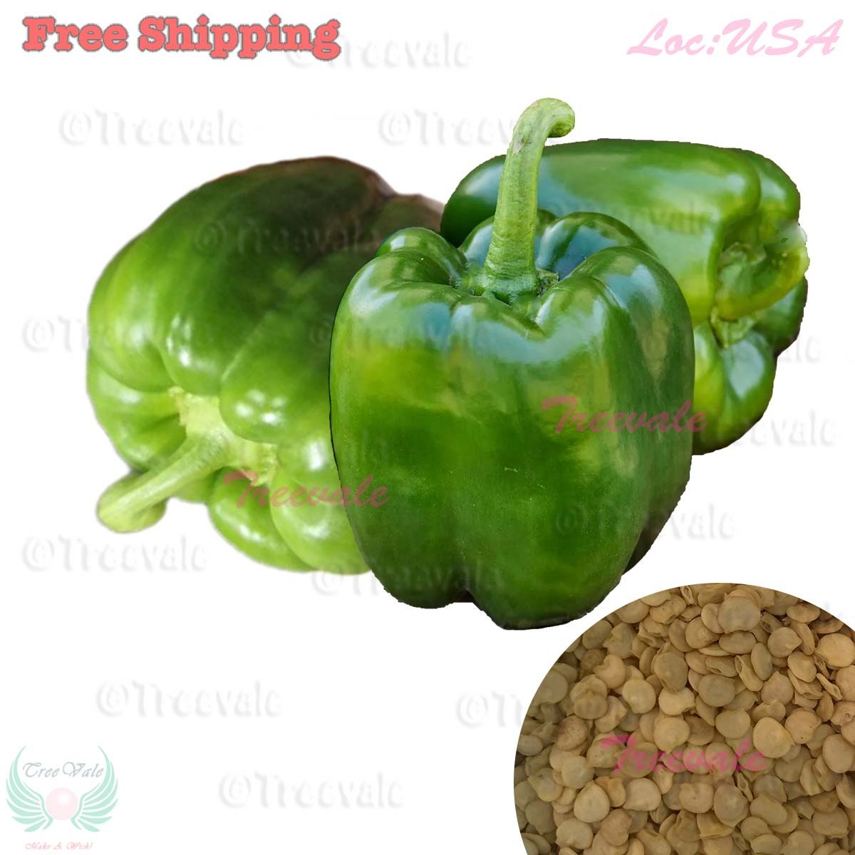 Emerald Giant Sweet Bell Pepper Seeds – Large Green Heirloom Pepper