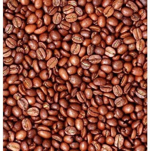5 Arabica Coffee Bonsai Tree Seeds to Grow Exotic Indoor Bonsai Tree