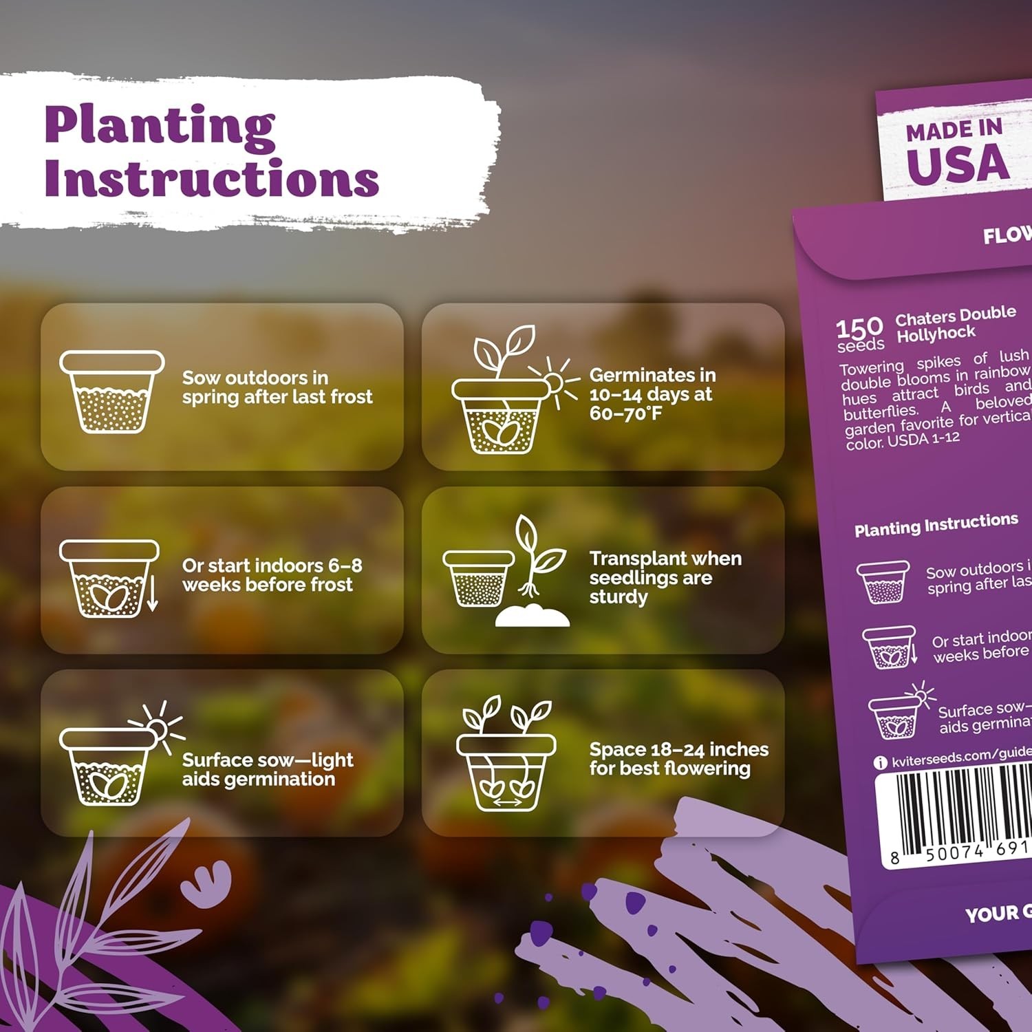 High Germination Rate Hollyhock Seeds – Attract Bees & Butterflies Outdoors