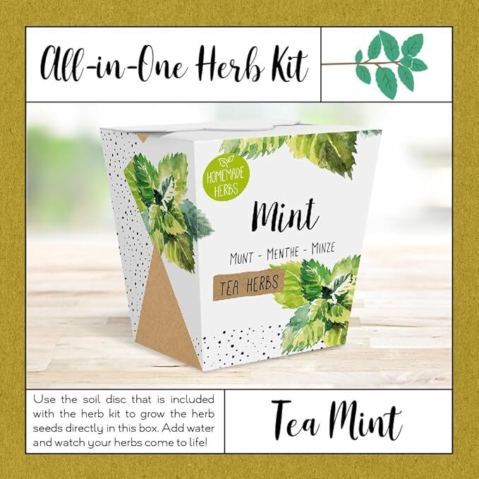 Homemade Herb Kit – All-in-One Tea Mint Growing Kit – Indoor Garden Planter