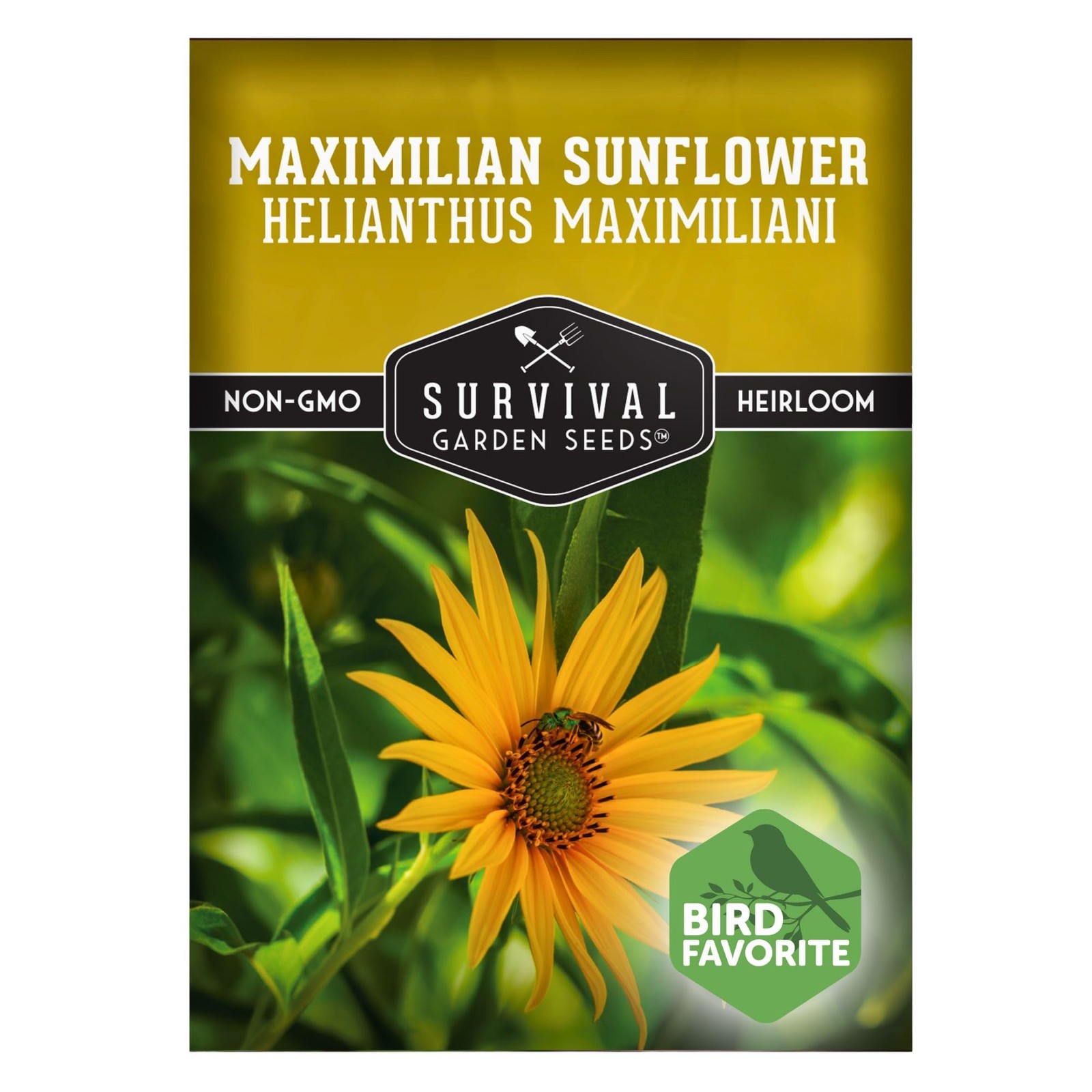 Maximilian Sunflower Seeds for Planting (Helianthus maximiliani) | Yellow