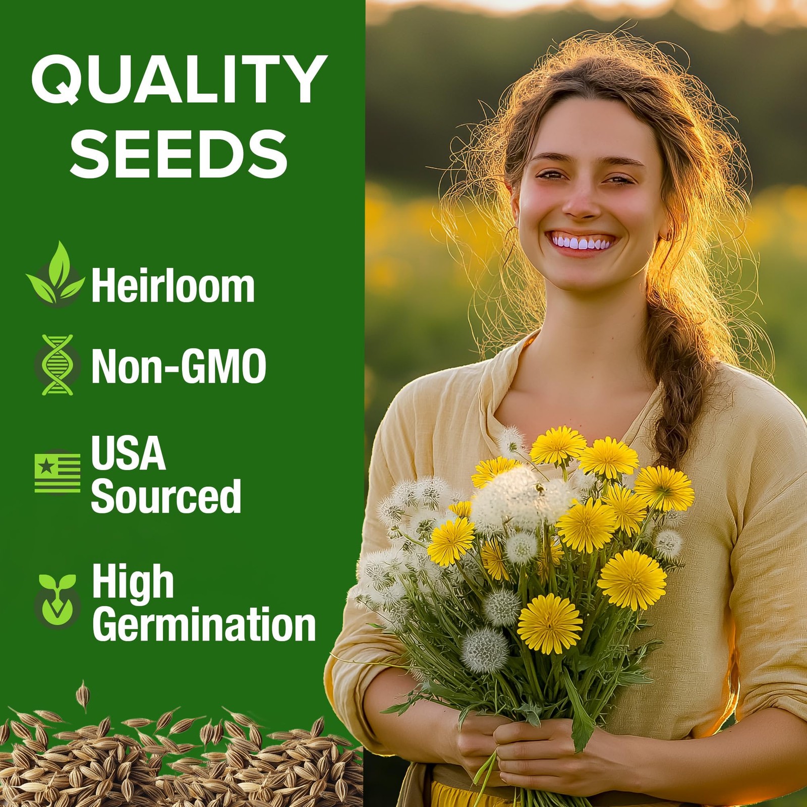 HOME GROWN Dandelion Seeds for Planting 600 Heirloom Medicinal 1-Pack, Green