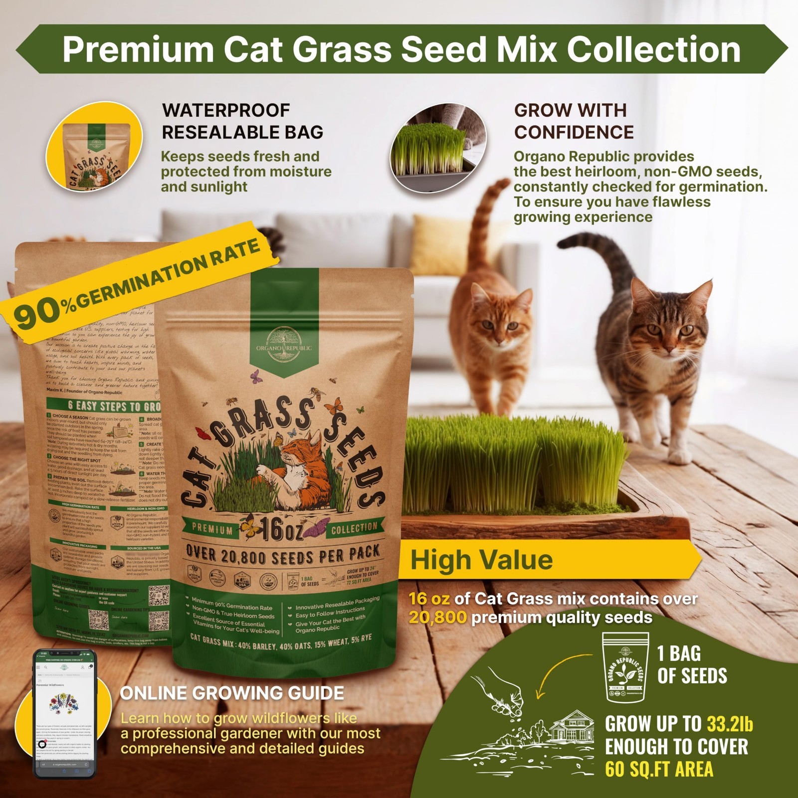 20,800 Non-GMO Cat Grass Seeds Mix – Fresh Barley, Oat, Rye & Wheat for Indoor P