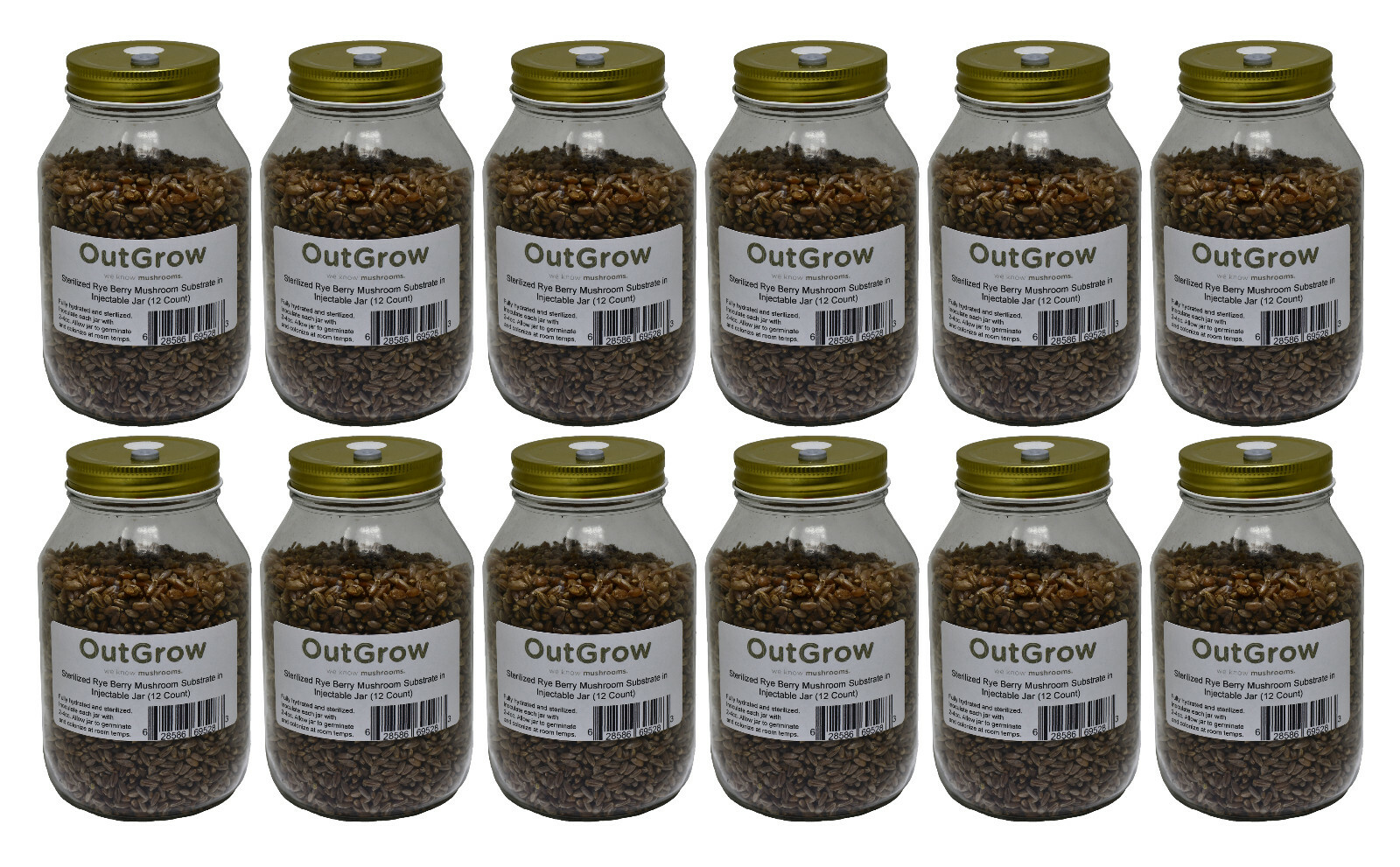 12 Quart Jars of Sterilized Rye Grains with Self Healing Injection Ports