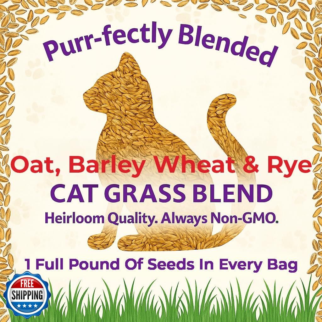NatureZ Edge Premium Cat Grass Seeds for Indoor Cats, Non GMO – 1/2 lb Oat, W
