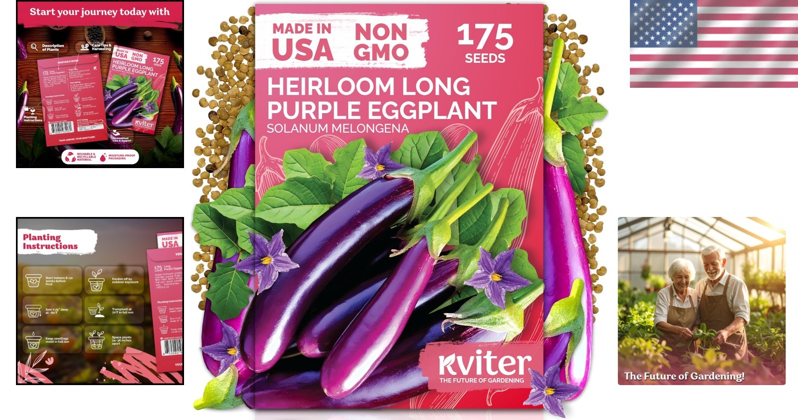 175 Long Purple Italian Eggplant Seeds – Ideal for Container Gardens & Beds