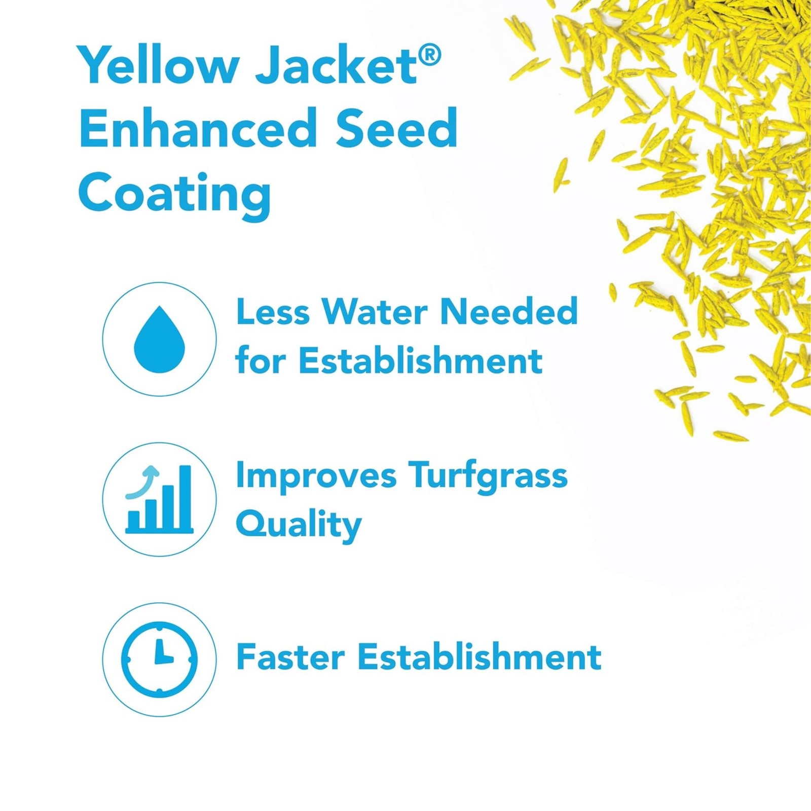 Barenbrug Turf Blue Grass with Yellow Jacket Seed Coating HGT Grass Seed, 25lb