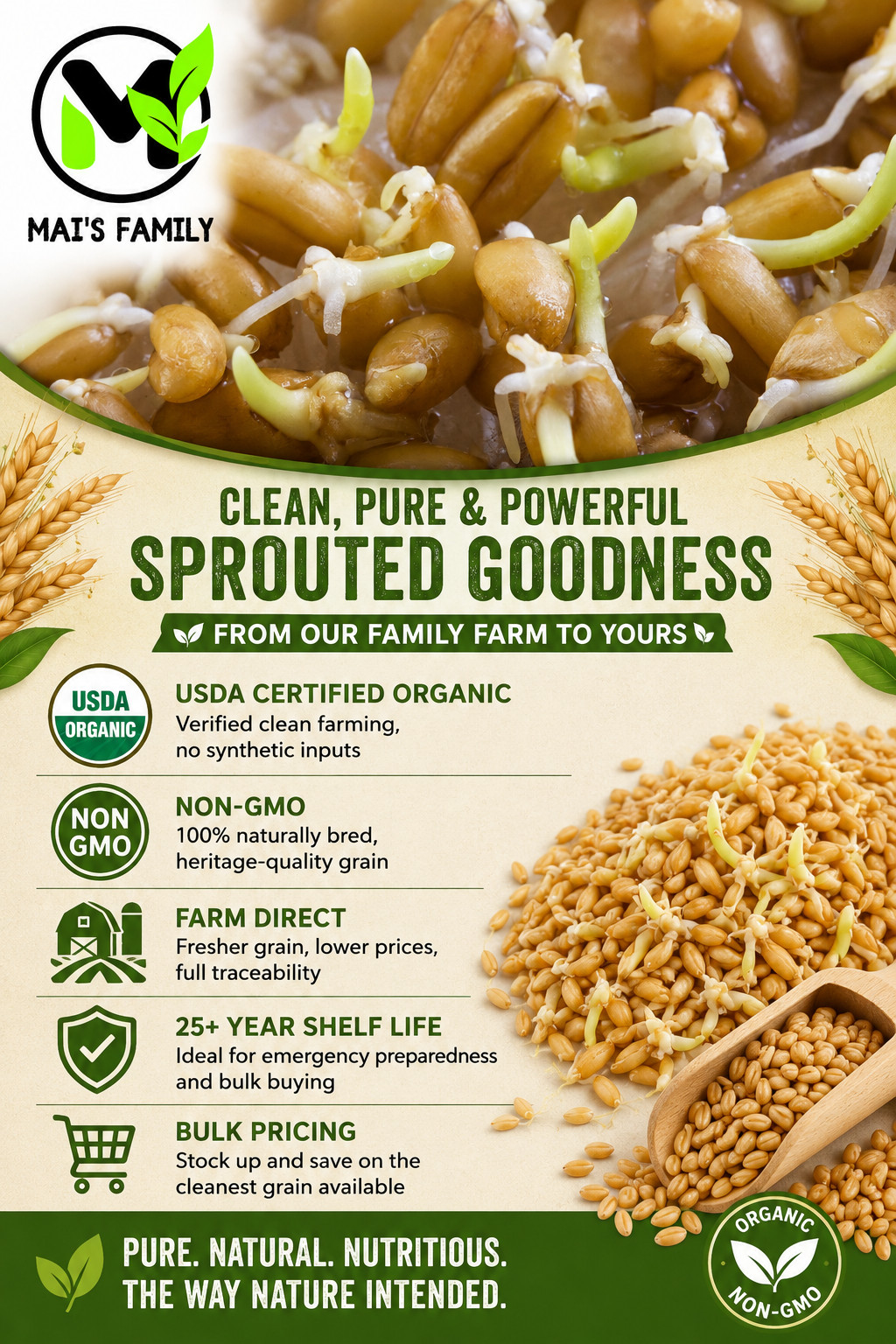 Organic Hard White Wheat Berries Seeds Mill Direct Wheatgrass Sprouting Grain