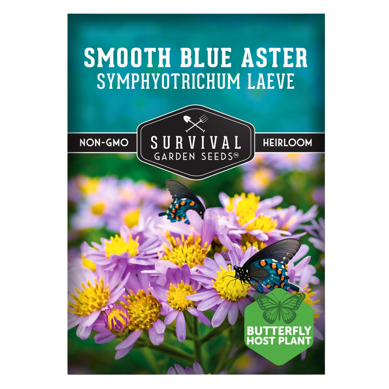 Smooth Blue Aster Seeds for Planting | Symphyotrichum laeve | Blue, Purple