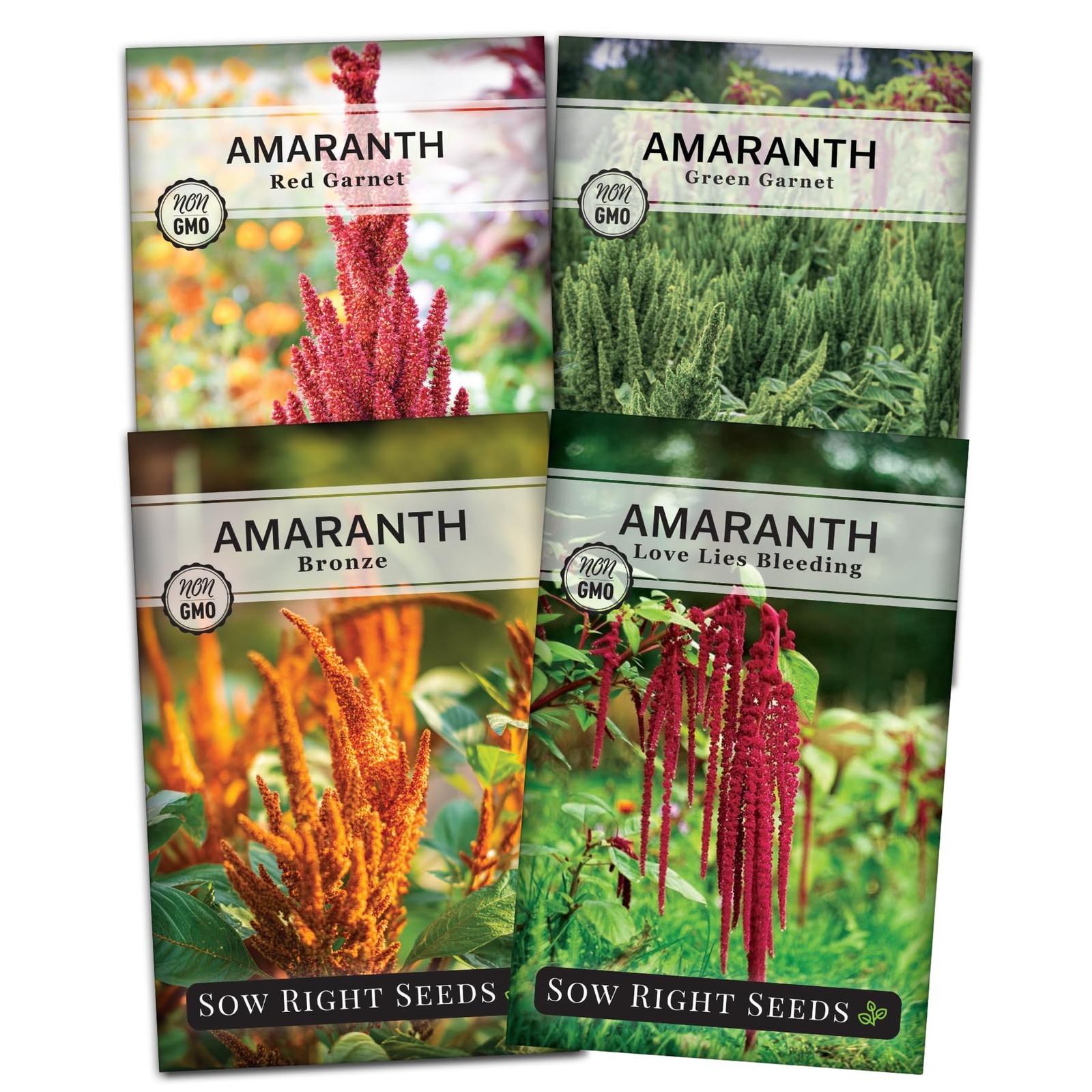 Sow Right Seeds – Amaranth Seed Collection for Planting – Non-GMO Mix