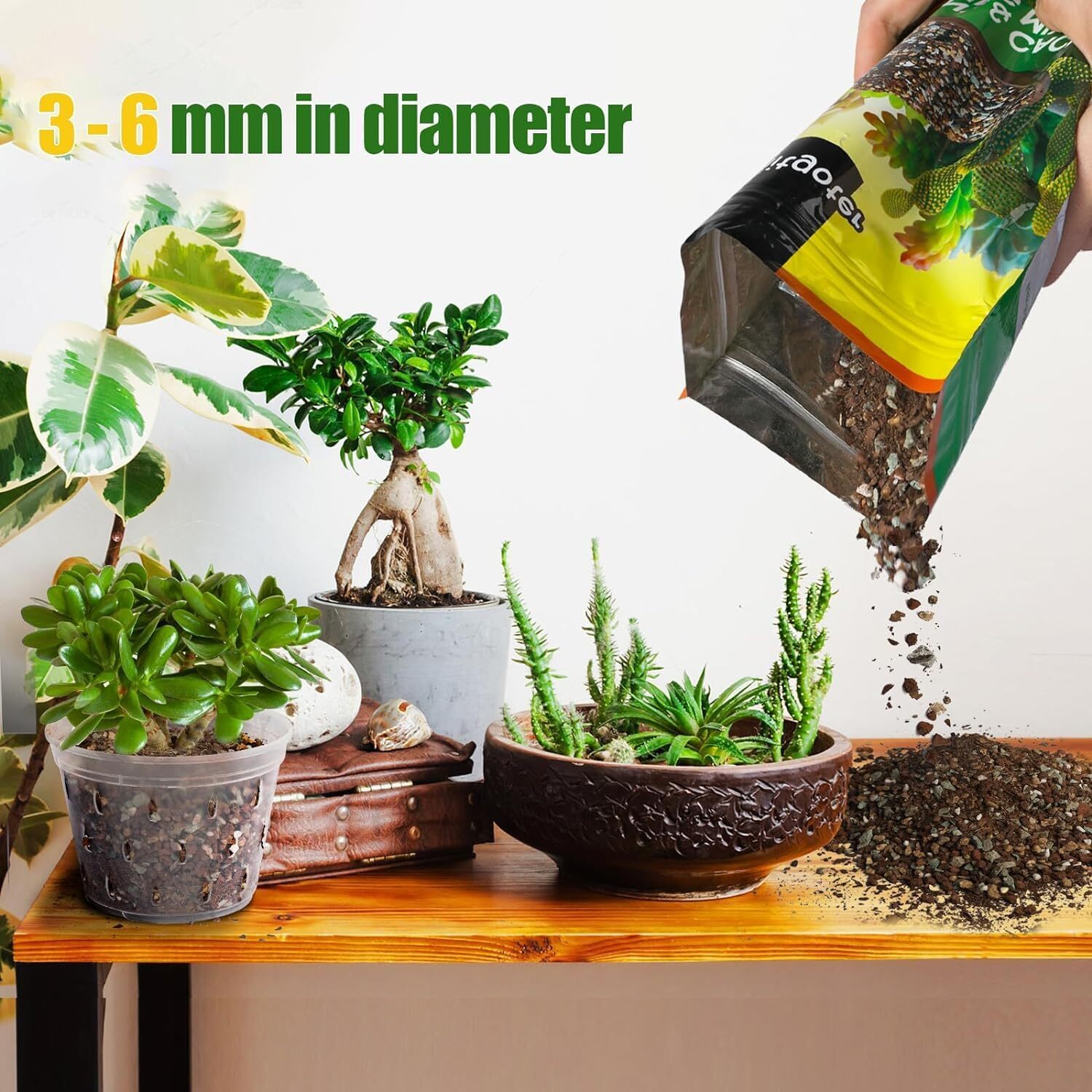 Succulent & Cactus Soil Potting Mix 1qt, Natural Organic for…