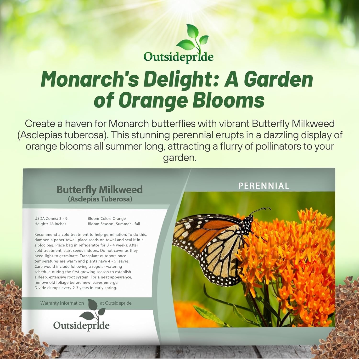 1000 Seeds Butterfly Weed Asclepsias Tuberosa Drought Tolerant Milkweed