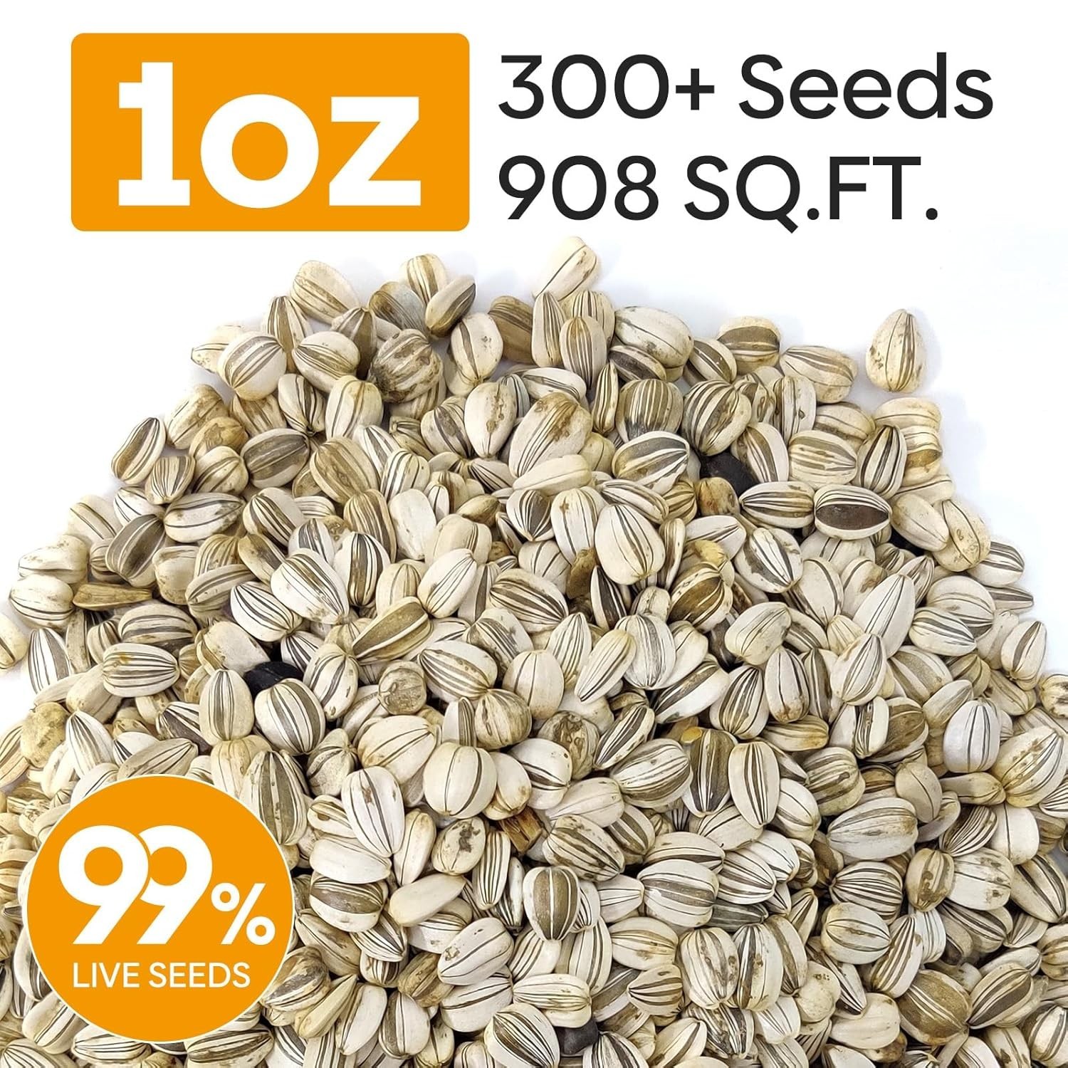 Giant Mammoth Sunflower Seeds – 6-12 FT Blooms, Drought Resistant, 300+ Seeds
