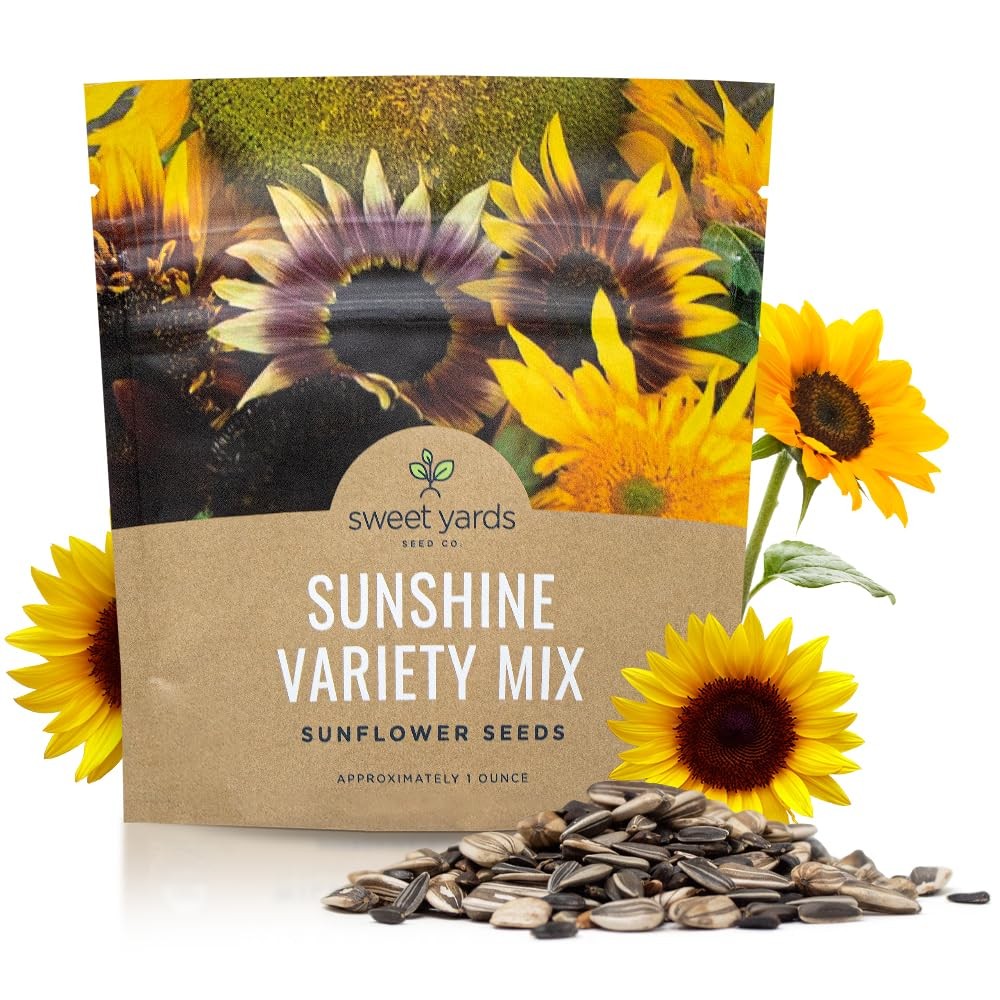 Bulk Sunflower Seed Mix 10 Open Pollinated Varieties, 1 Ounce Packet