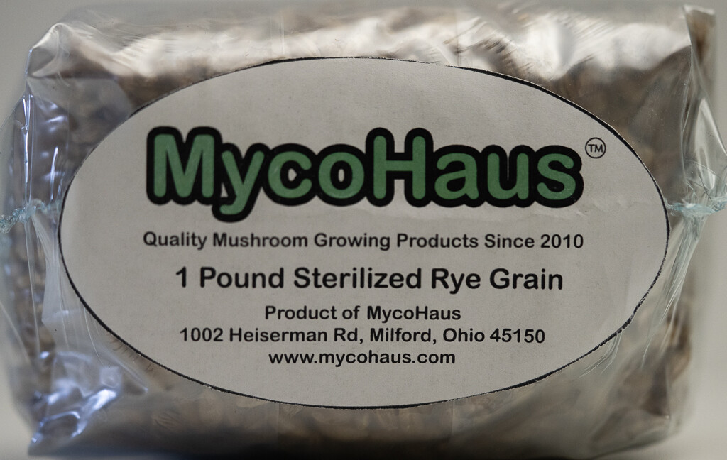 one pound sterilized rye grain bags with injection port mushroom substrate
