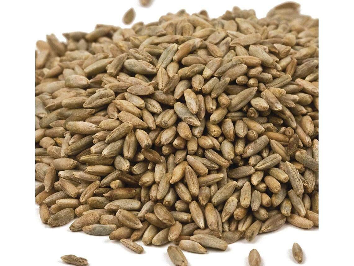 Rye Grass Seed – Fast Growing and Hardy Grass, Cover Crop, Food Plot. Grazing Pa