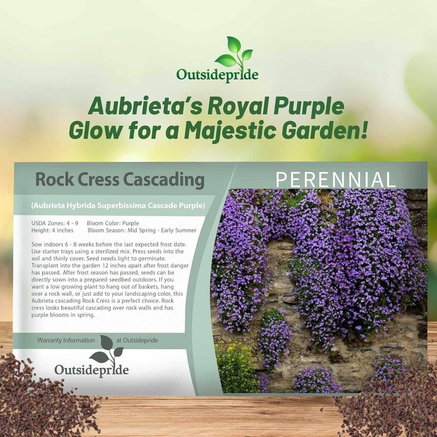 2000 Seeds Purple Cascading Aubrieta Ground Cover Plant Seeds – Rock Cress