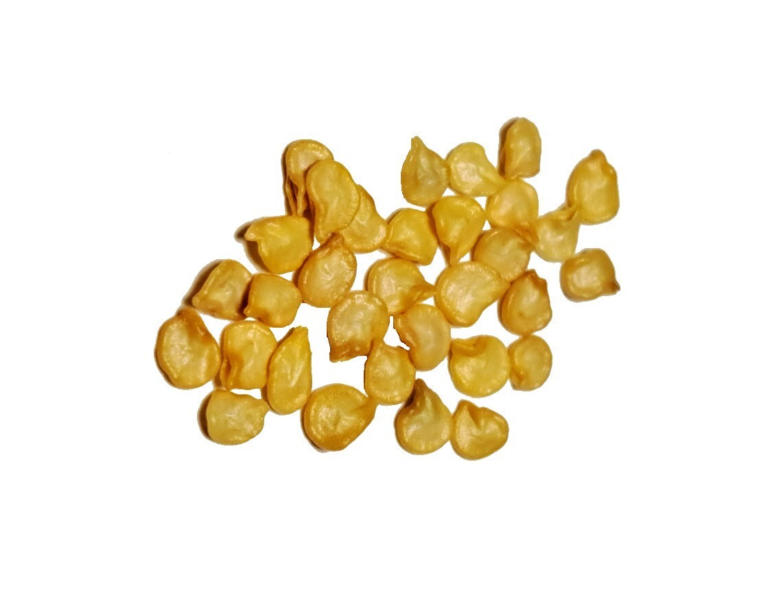 Hawaiian Sweet Hot Chili Pepper Seeds aka WAIALUA Jalapeno