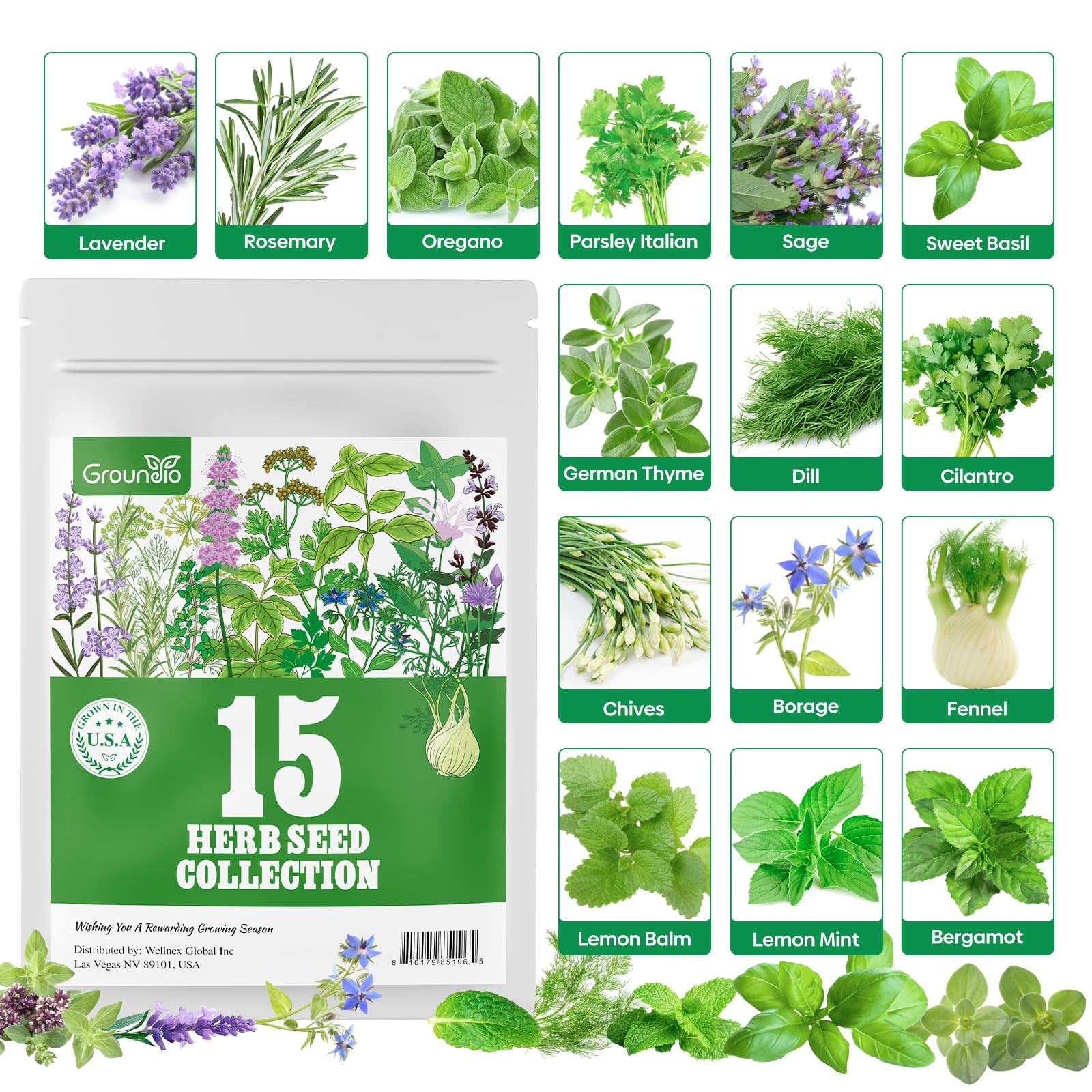 15 Herb Seeds Variety Pack | 5,700+ Non-GMO Heirloom Seeds for Planting Indoo…