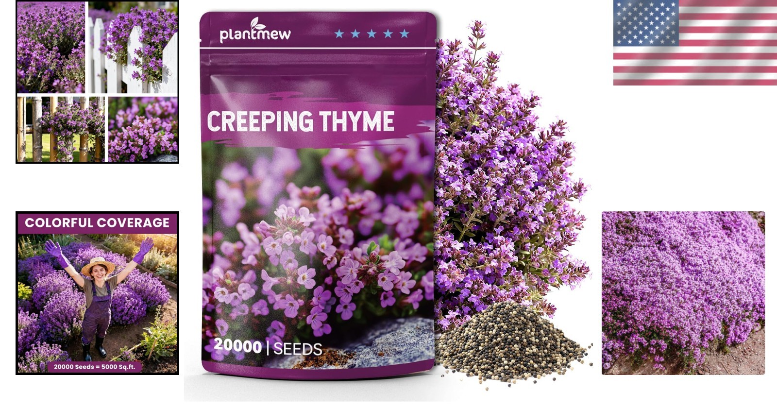 High Germination 20000+ Creeping Thyme Seeds – Low Maintenance Fragrant Cover