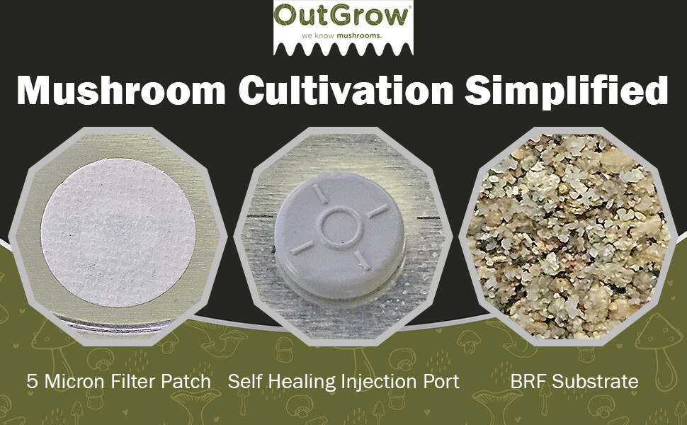 BRF Jars Brown Rice Flour Mushroom Substrate (6 Pack)