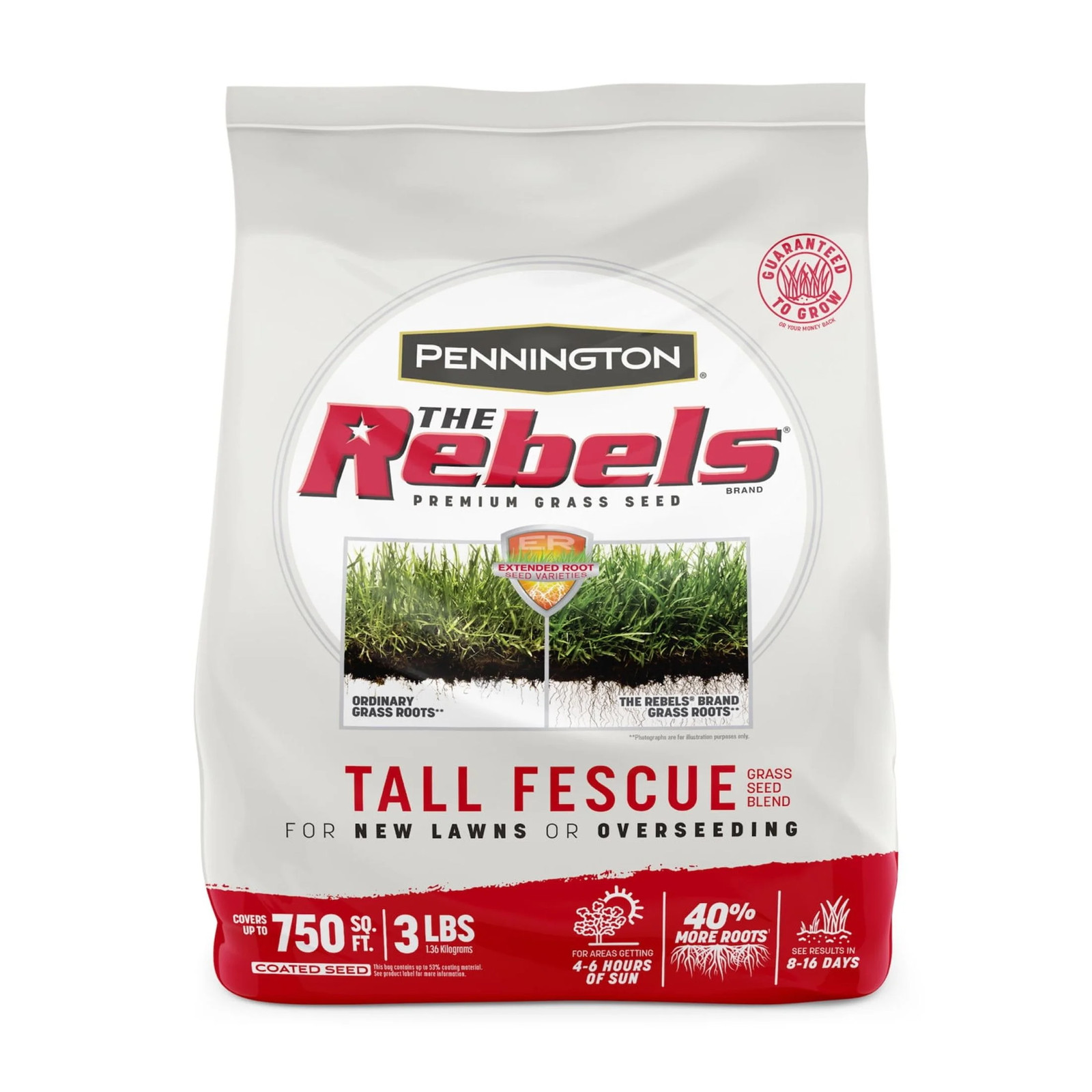 Rebels Tall Fescue Grass Seeds for Lawn, for Sun to Partial Shade, 3 Lb