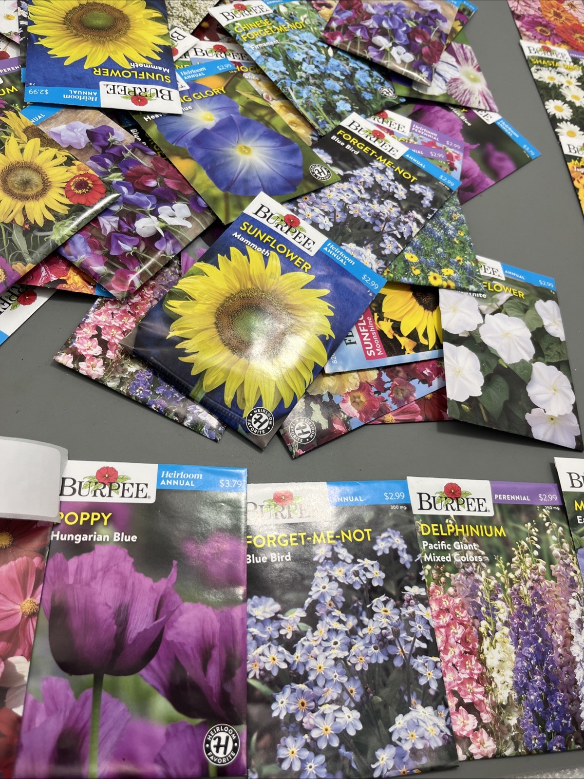 Flowers annual perennial Plant Seeds (Assorted Lot of 100) sell by 11/26 Garden