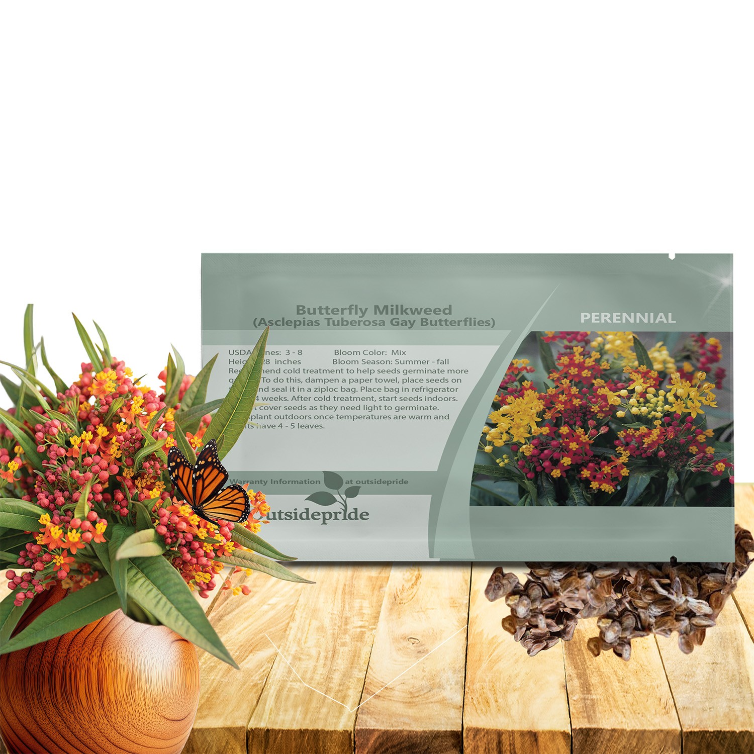 50 Seeds Butterfly Milkweed Water Conserving Asclepias Tuberosa Gay