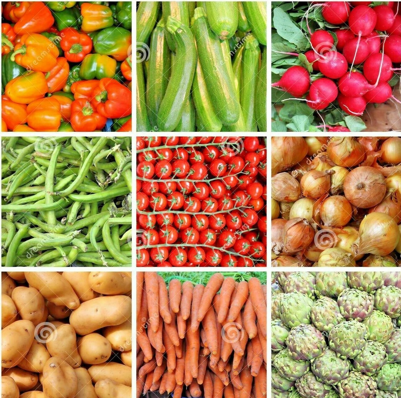 #8 Heirloom Vegetable Seed 6 Variety Garden Set Emergency Survival NON-GMO 150+