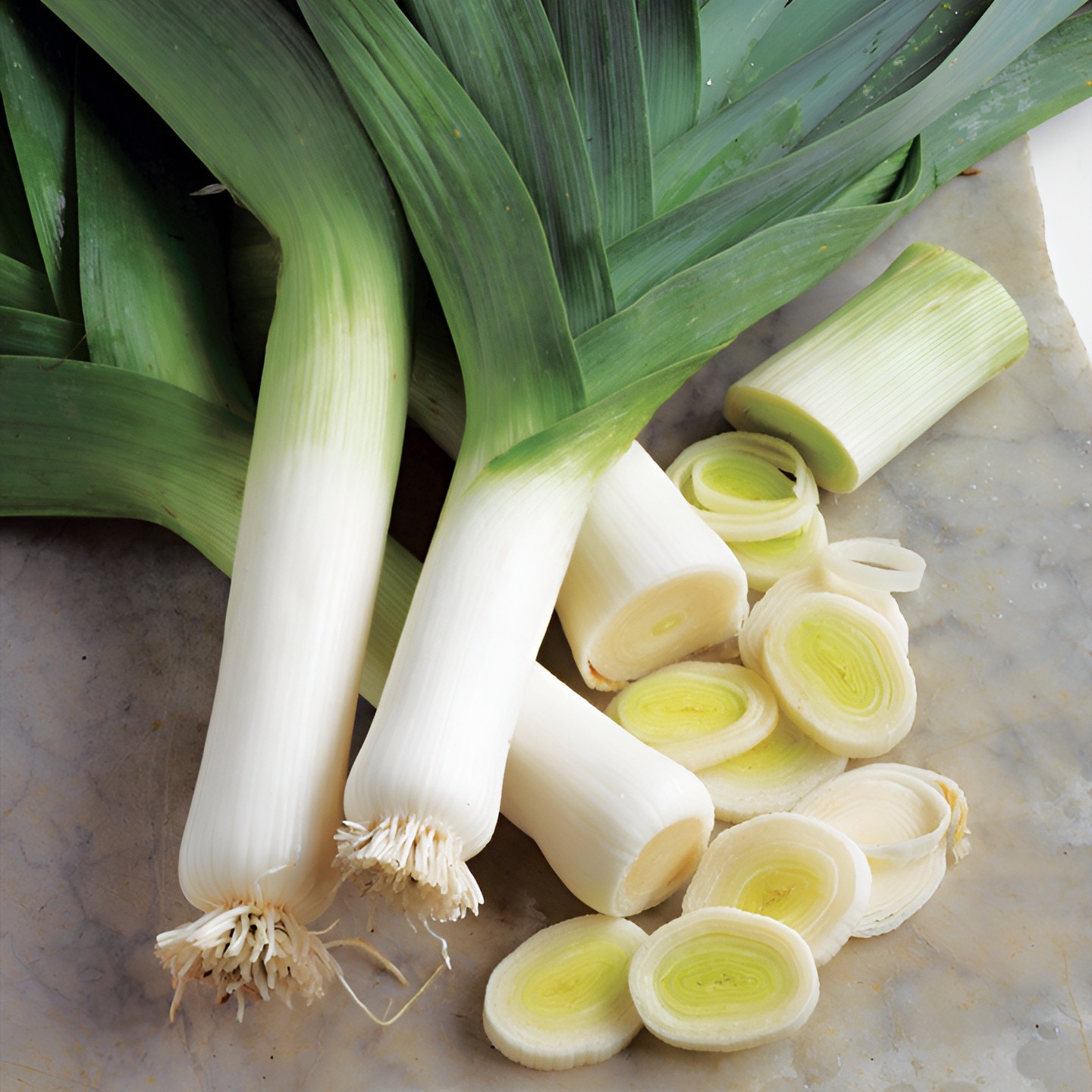 1,000 Large American Flag Leek Seeds | Broad London Leek – Cold Hardy Classic