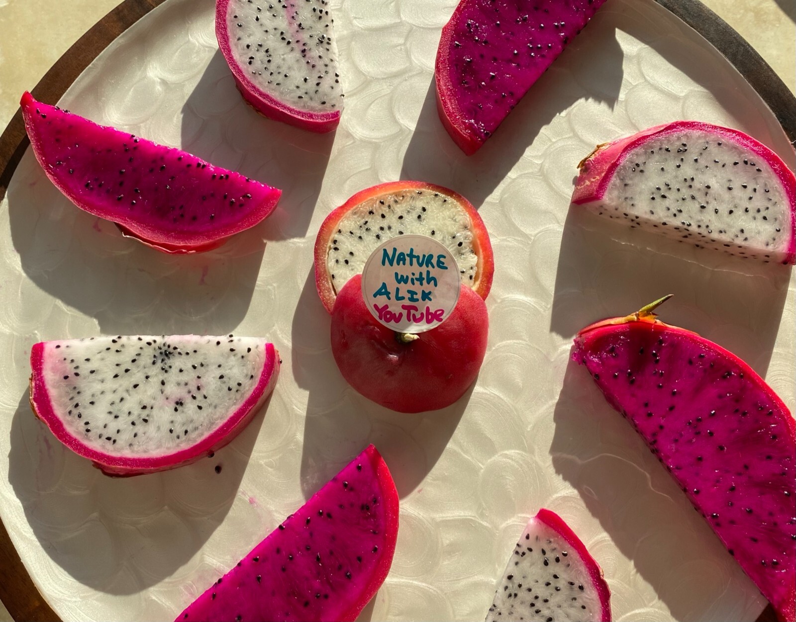 Self Fertile Dragon Fruit plant well rooted – American Beauty