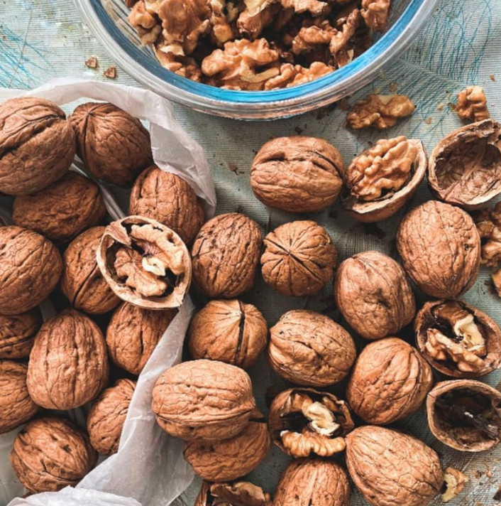 Live Black Walnut Tree – Quart Pot – Juglans nigra – Nut-Producing Shade Tree
