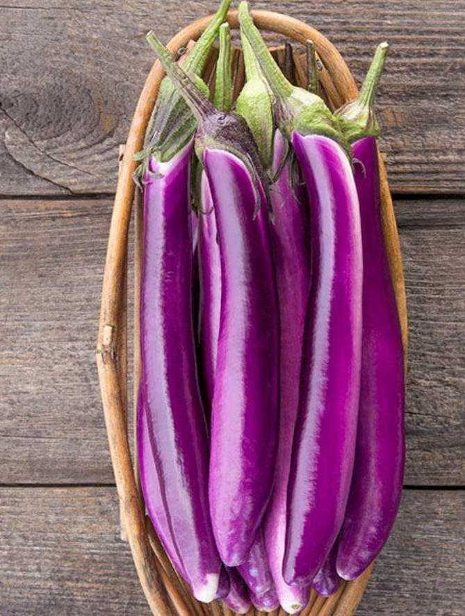 Live Chinese egg Plant – 8″ Tall – 4″ Pot – Edible Vegetable Plant