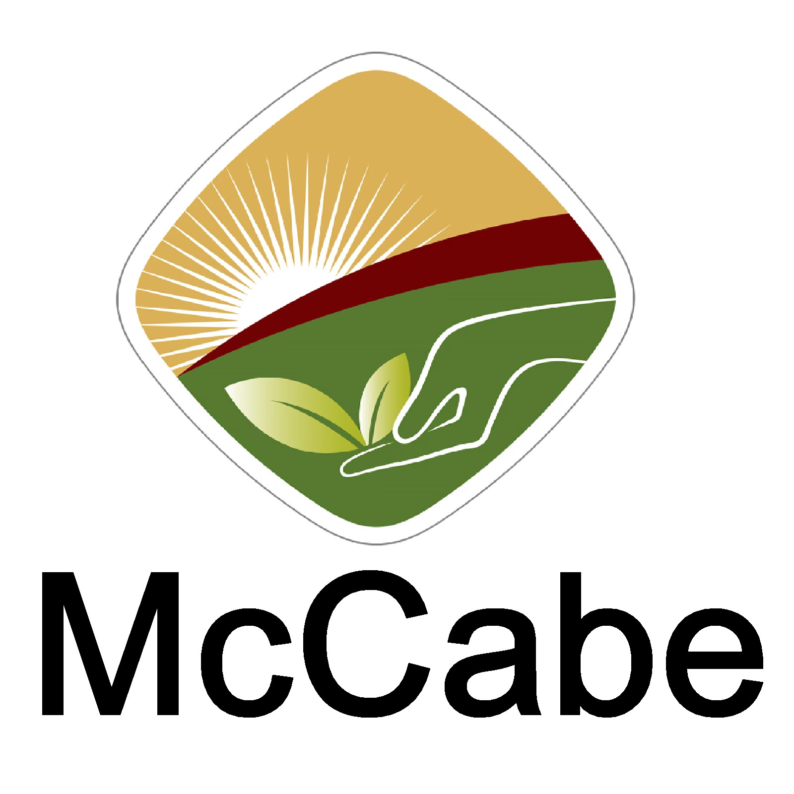 McCabe Organic Roasted Salted Sesame Seeds – Organic Toasted Salted Sesame Seeds