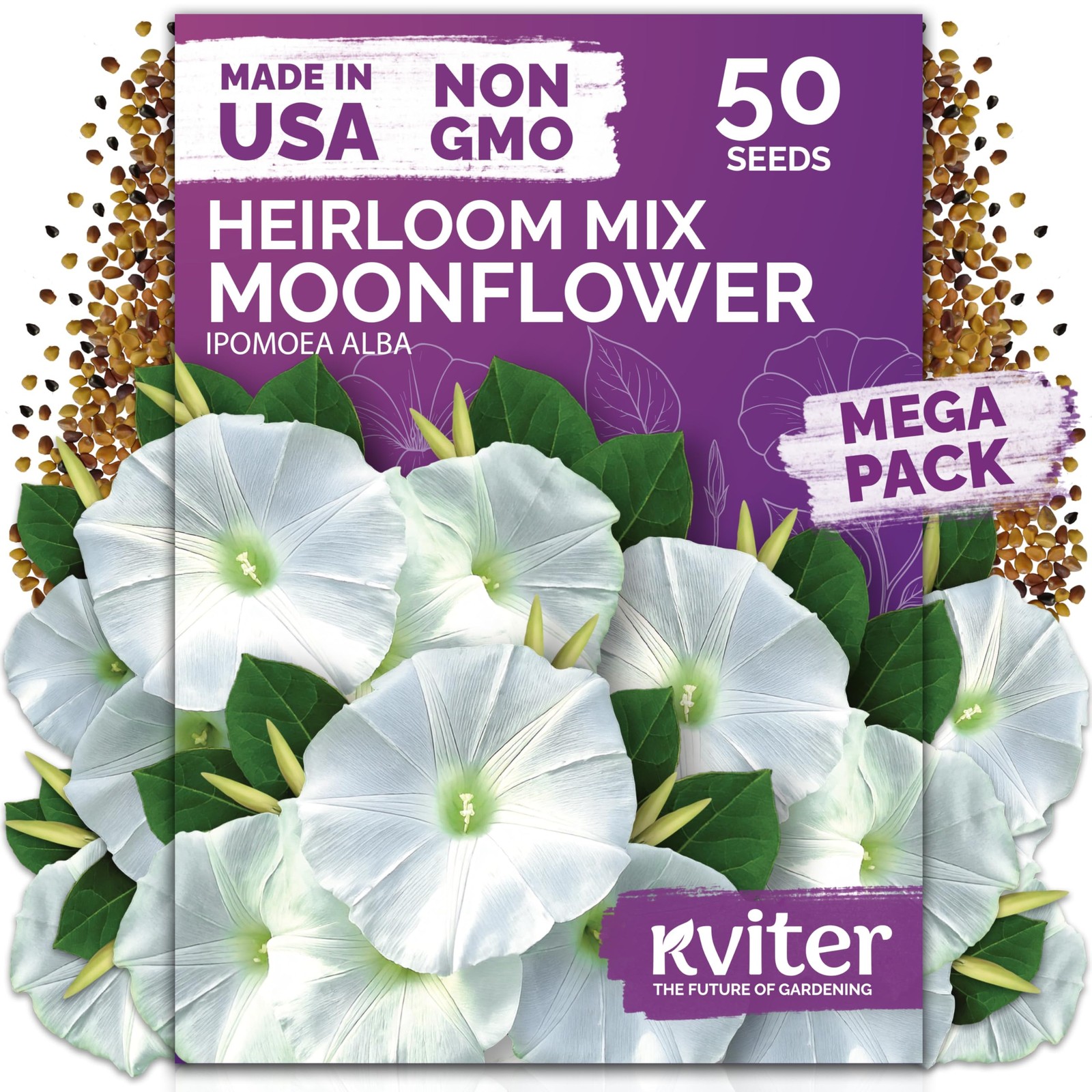 KVITER 50 Moonflower Seeds For Planting (Ipomoea alba)