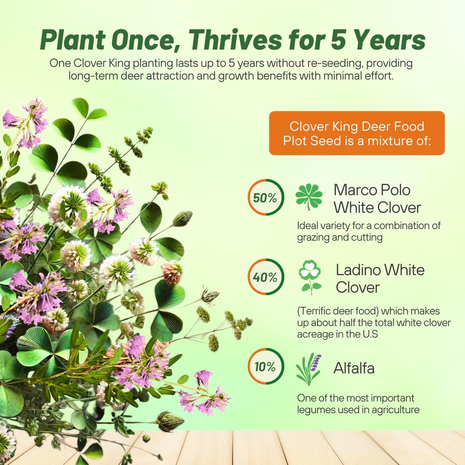 Outsidepride Perennial Clover King Seed Mix – 5 Lbs Nitrocoated Inoculated Heat