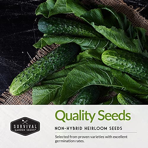 Vegetable Garden Collection Seed Vault – Non-GMO Heirloom Family Garden Seeds