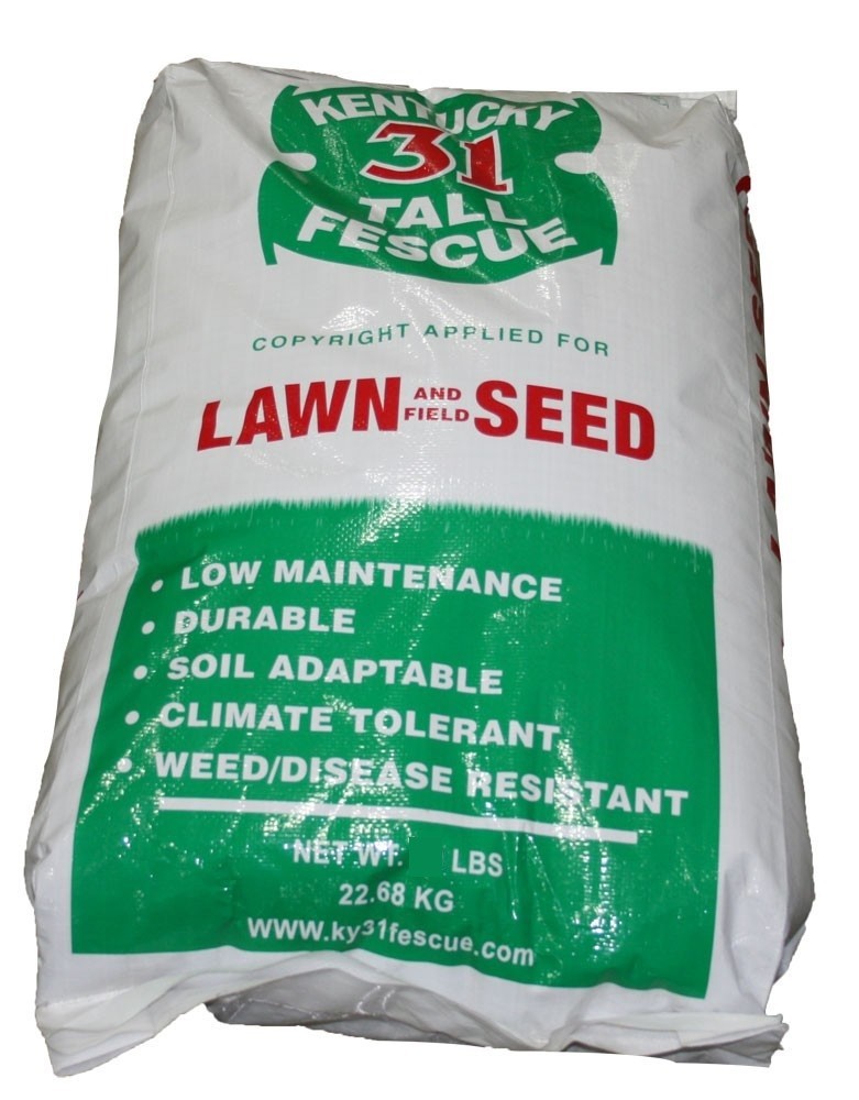 Kentucky 31 Lawn & Field 98 % Pure Tall Fescue Grass Seed 10 Pounds FREE SHIP