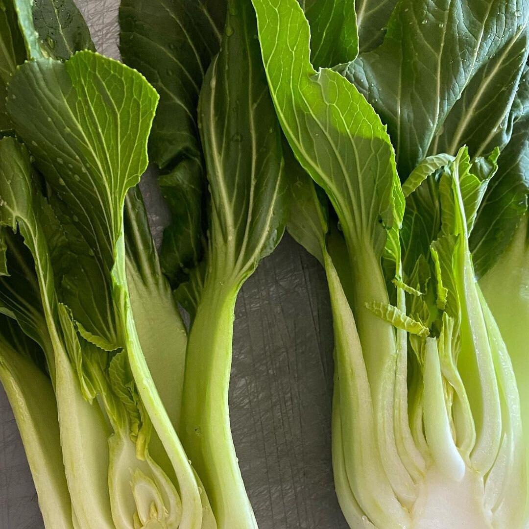 Fresh Canton Pak Choi Bak Choi Seeds | Heirloom Non-GMO | Asian Vegetable Seeds
