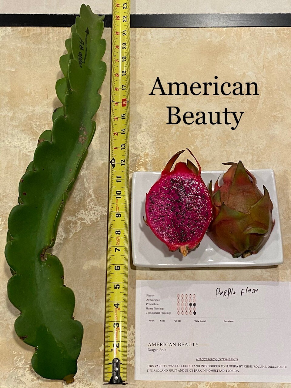 Best Dragon Fruit Cuttings 24-36”, each cutting and FREE SOLAR gopher repellent.
